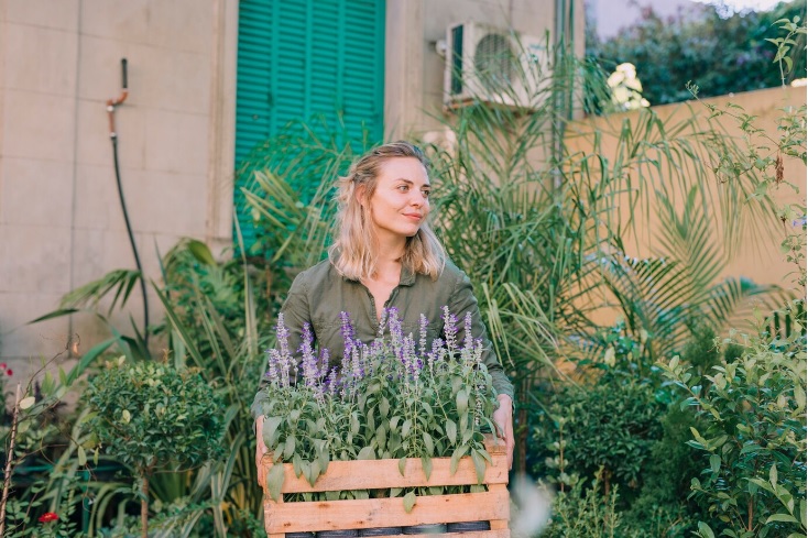 Jardim Aromático no Paisagismo: Transforme Seu Espaço com Cheiros e Sabores